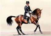 Dressage, Equine Art - Canter Pirouette